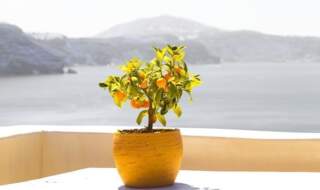 El clima en Santorini. Mejor época para viajar a Santorini