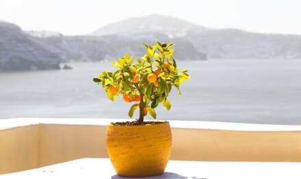 El clima en Santorini. Mejor época para viajar a Santorini